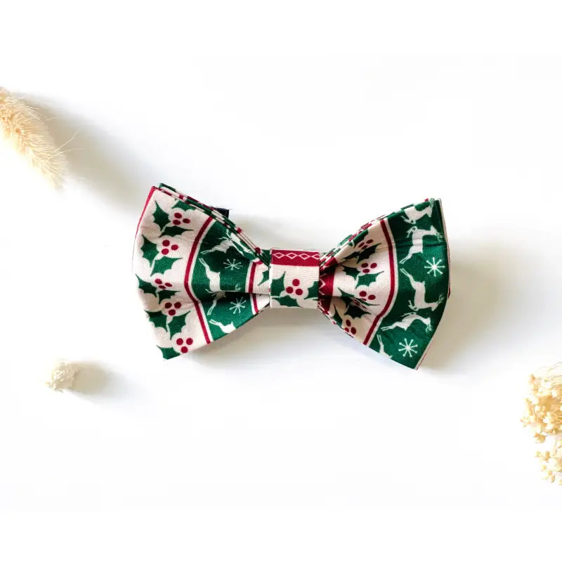 Kit Complet Chien Personnalisé Coton Édition Spécial Noël