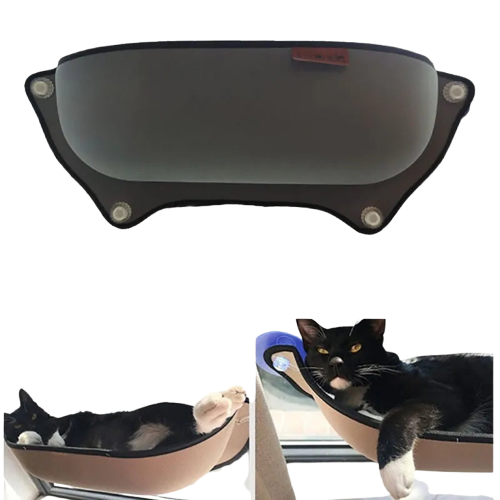 Transparent Background
