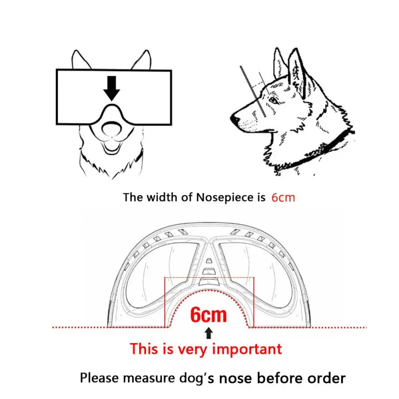 Diagramme de la largeur du nez du chien pour l’ajustement des lunettes de soleil pour chiens : Confort et protection optimaux