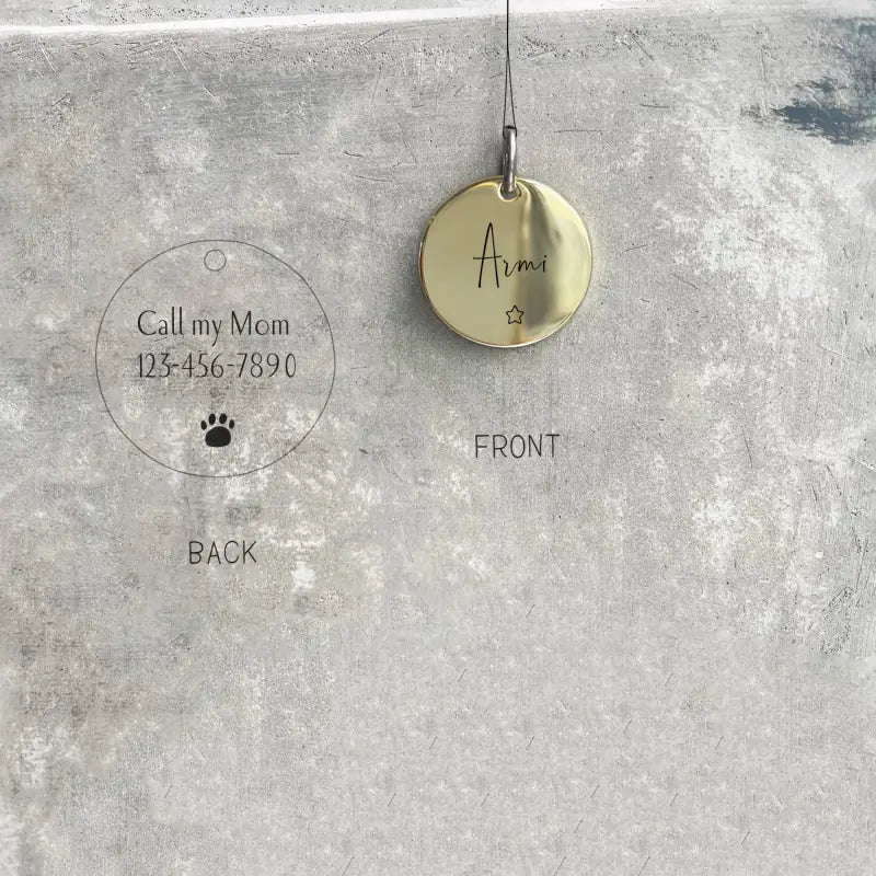Tag d’identification pour chien et chat, cadeau unique sur un réfrigérateur