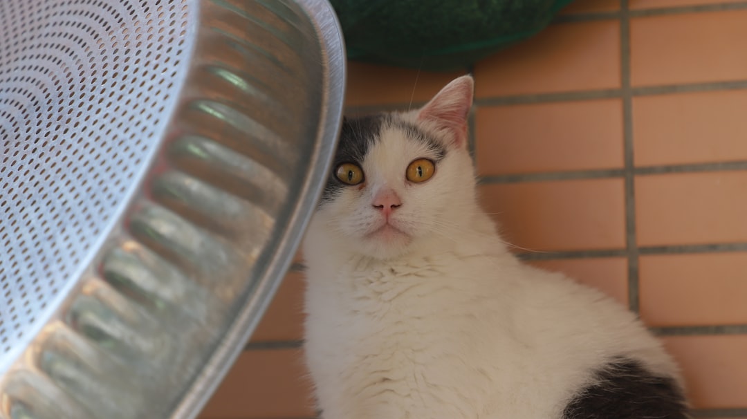 Wetenschappelijk bewezen tips tegen een kater die echt werken