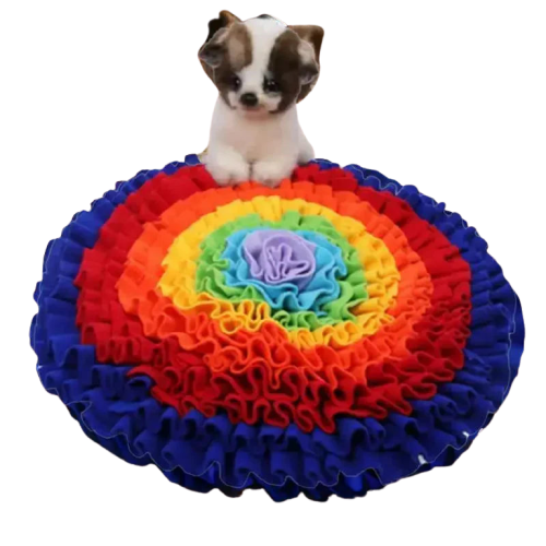 Petit chien assis sur un coussin arc-en-ciel - Tapis de sensibilisation à l’olfaction pour chiens - Recherche Alimentaire Tapis Transparent Background