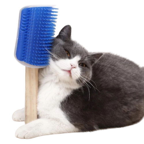 Brosse de massage à fixer pour chat Transparent Background