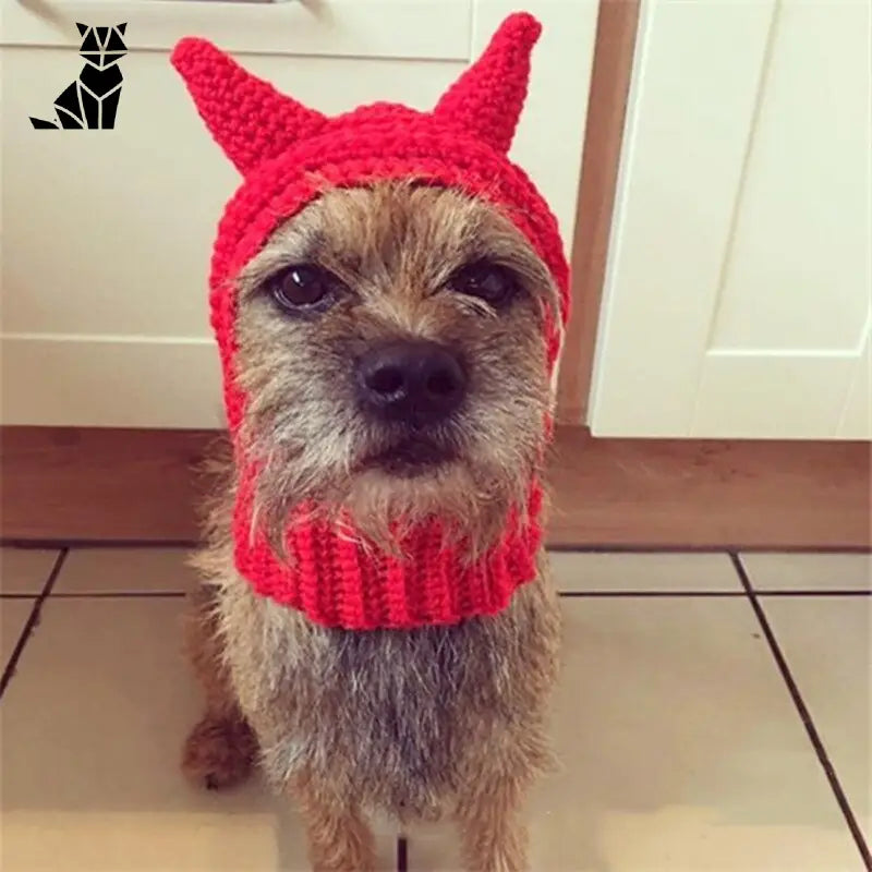 Bonnet pour Chien Diable au Crochet