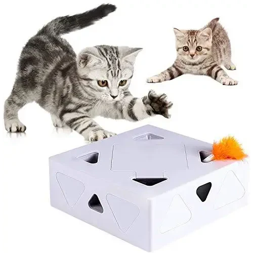 Chat jouant dans une boîte avec le jouet électronique MouseBox™