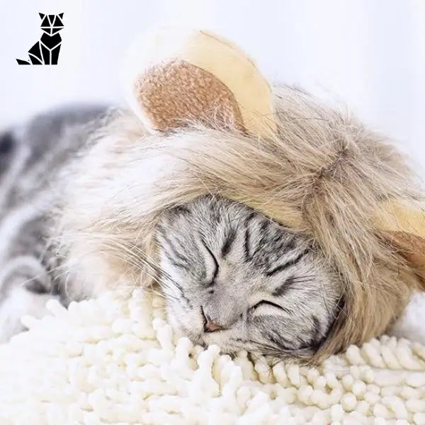 Bonnet pour Chat Cosplay Lion