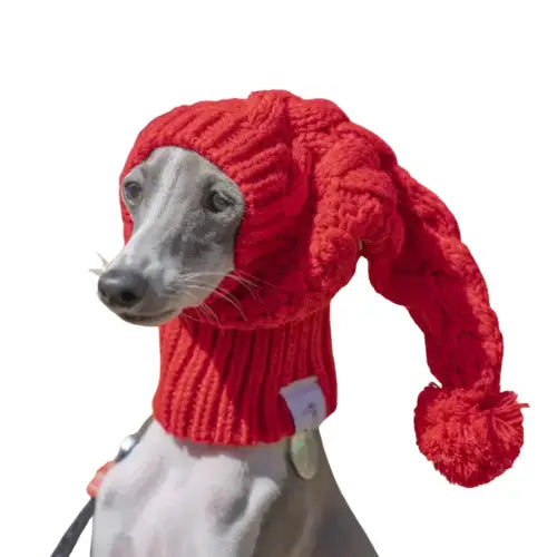 Chien en rouge Chapeau et écharpe en laine - Protection thermique, confort doux, bonnet élégant Transparent Background