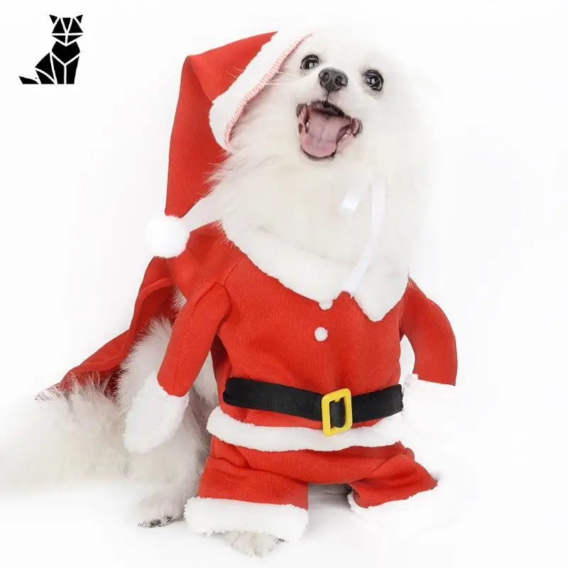 Bonnet pour Chien & Cosplay de Noël