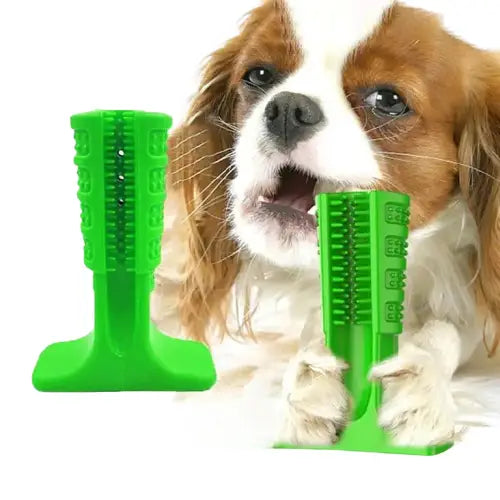 Jouet à mâcher pour chien avec peigne et brosse à dents verte (jouet à mâcher) Transparent Background