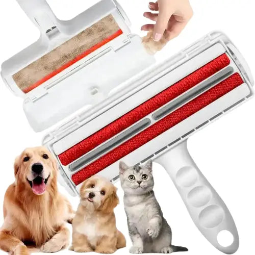 Main tenant une brosse double face auto-nettoyante pour chien et chat, base incluse Transparent Background