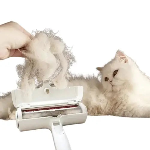 Chat couché sur le sol avec une brosse CoolClean, efficace pour le toilettage anti-poils Transparent Background