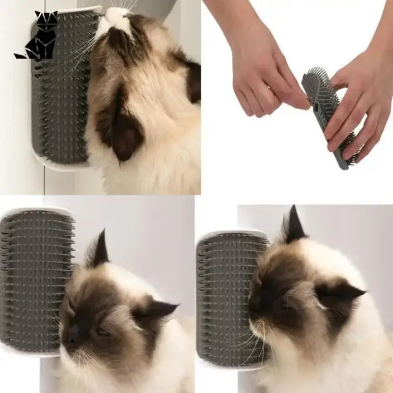 Brosse De Coin Auto-toilettage Pour Chat: Adieu Les Poils!