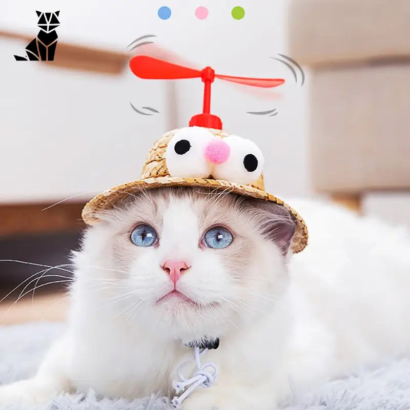 Casquette pour Chat avec Hélice