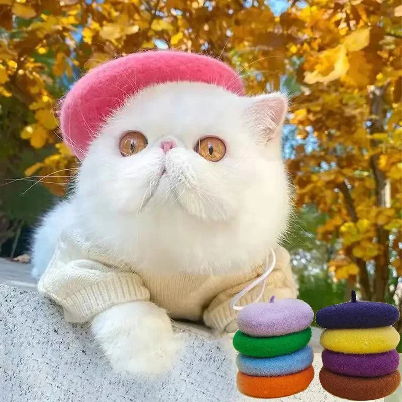 Chat blanc avec chapeau et pull rose - Élégant Chapeau béret pour chat