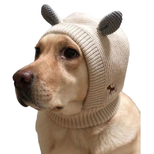 Bonnet pour Chien Intégral Oreilles Transparent Background