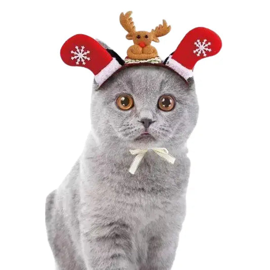 Chapeau pour Chat Fêtes de Noël Transparent Background