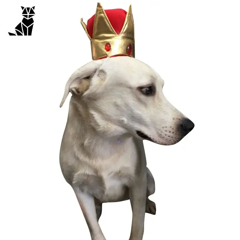 Chapeau pour Chien Couronne Royal