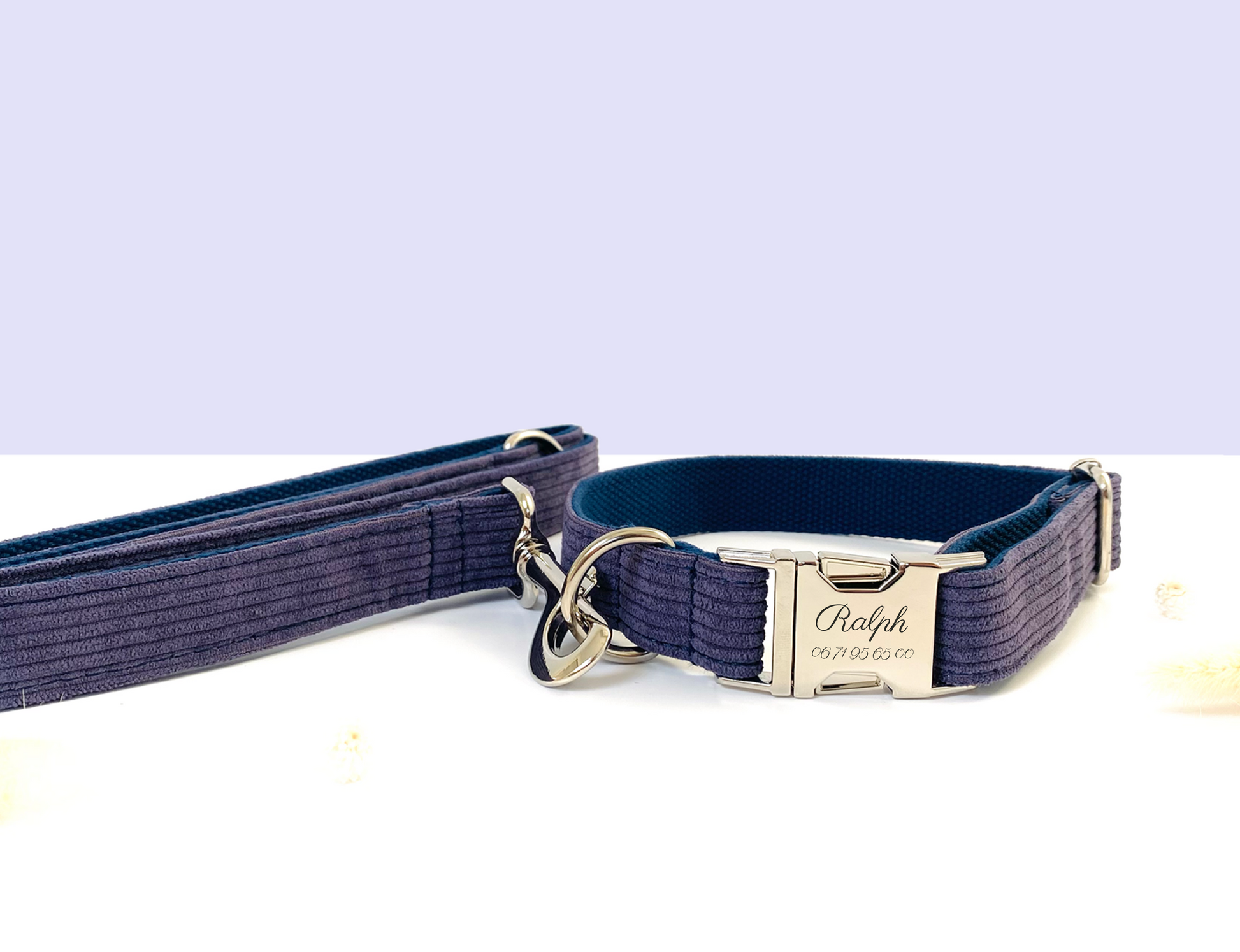 Collier Chien Personnalisé Velours Lavande