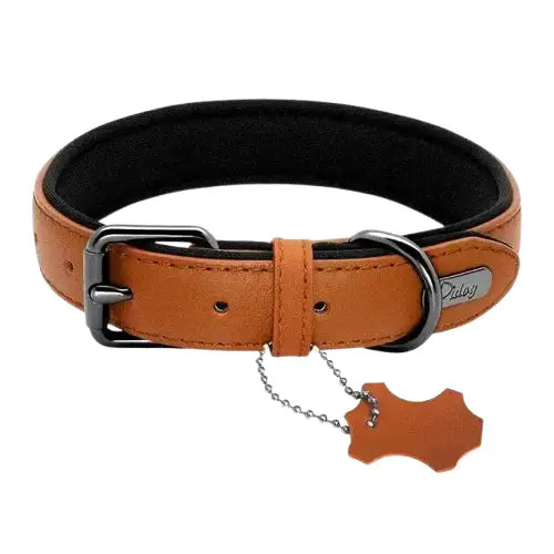 Collier En Cuir Pour Chien Transparent Background