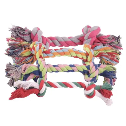 Corde à morde pour chien Transparent Background