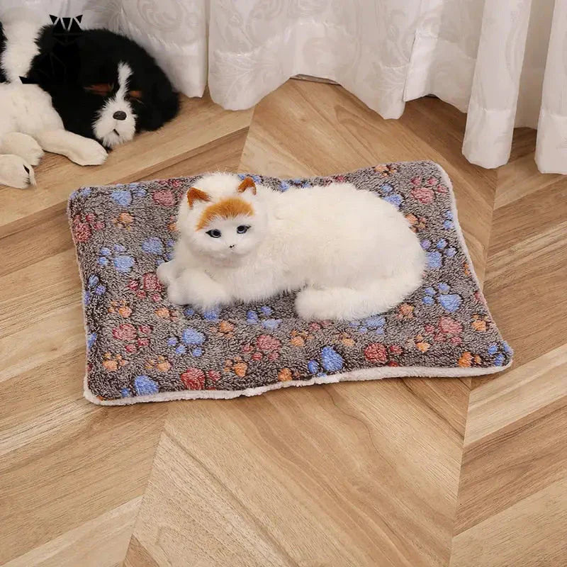 Deux chats allongés sur une couverture en flanelle douce pour un confort et une chaleur optimaux