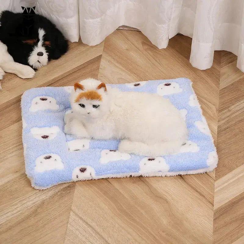 Deux chats couchés sur une couverture bleue et blanche, bénéficiant d’un confort optimal