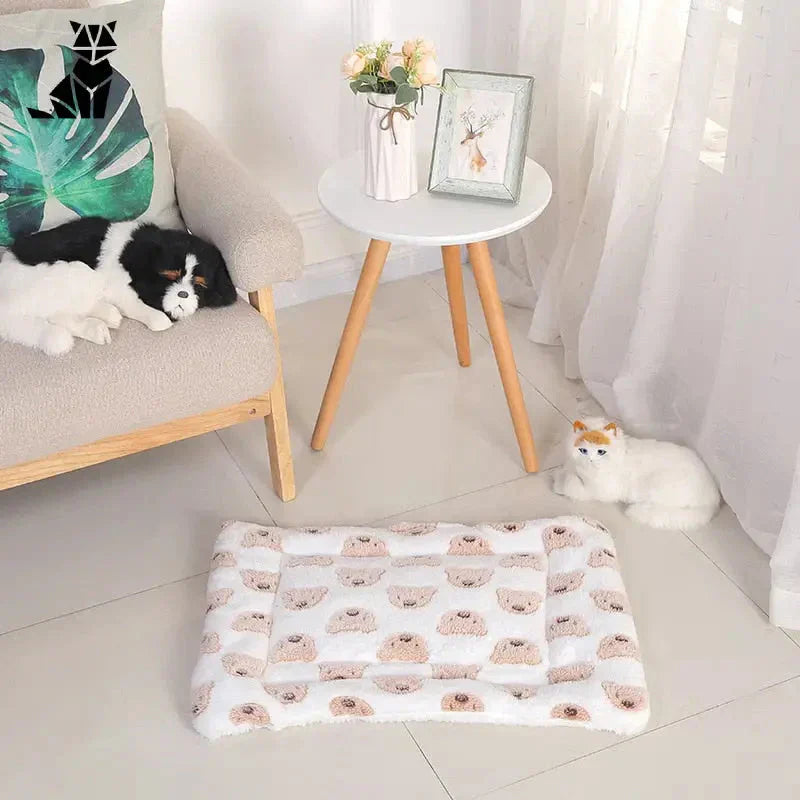 Chat se détendant sur un tapis à côté d’une chaise, enveloppé dans la couverture en flanelle douce pour un confort optimal