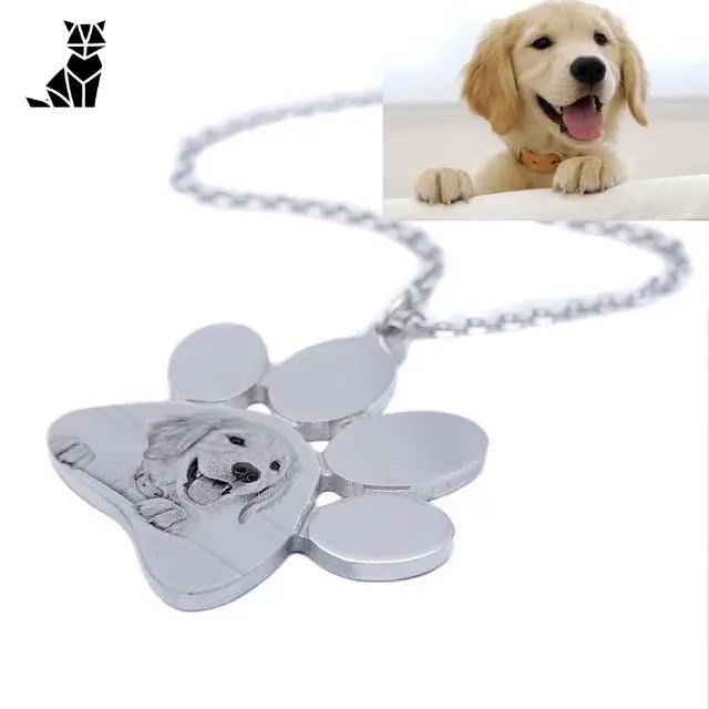 Collier Personnalisable Pour Chien / Chat En Argent