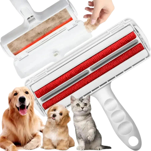 Main tenant une brosse double face auto-nettoyante pour chien et chat, base incluse Transparent Background