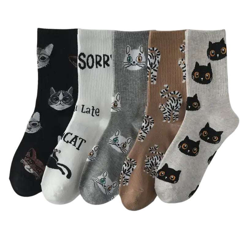 Chaussettes Chat Mignonnes Pour Un Style Irrésistible Et Confortable Transparent Background