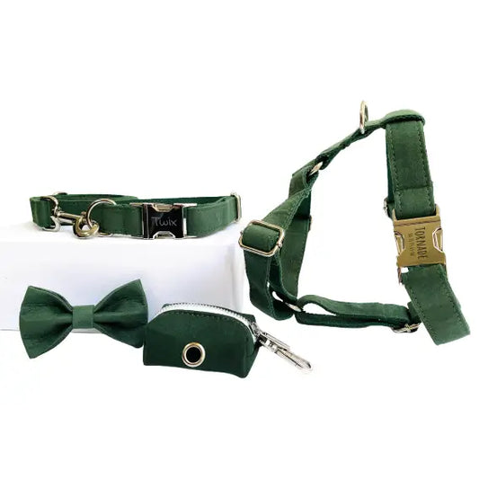Kit Complet Chien Personnalisé Coton Vert Sapin Transparent Background