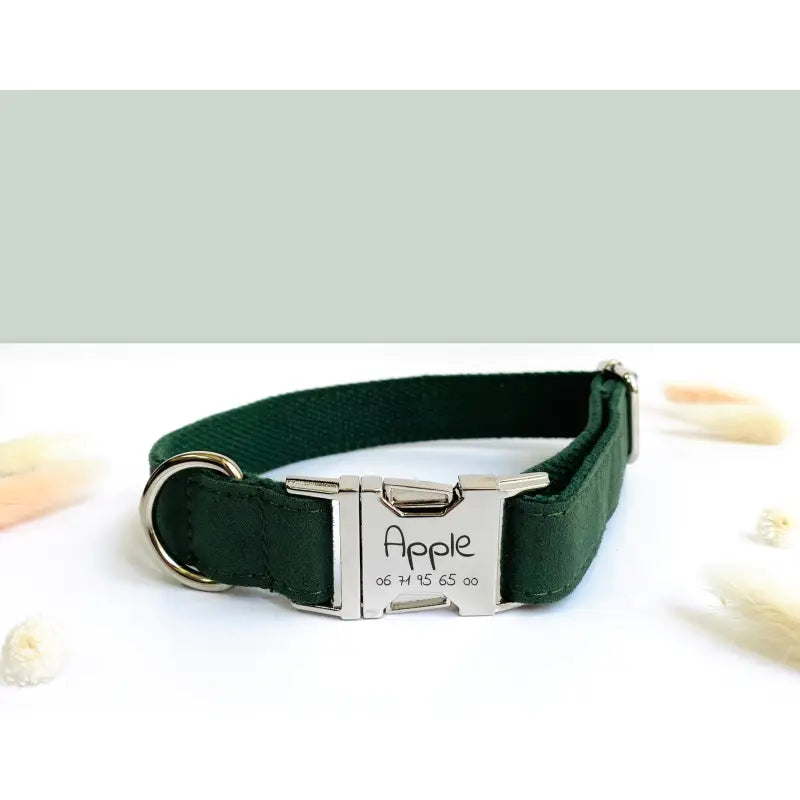 Kit Complet Chien Personnalisé Coton Vert Sapin