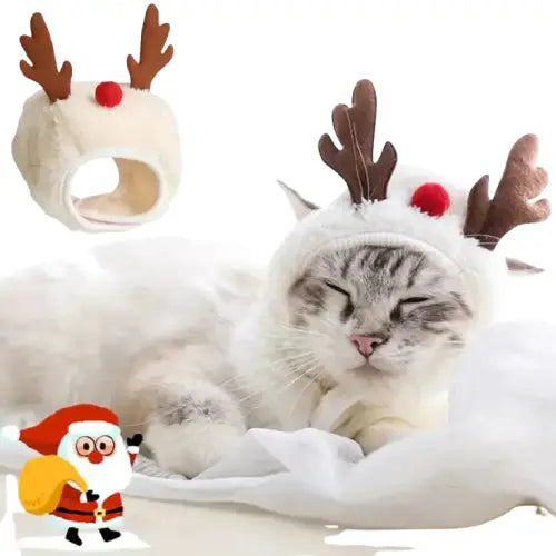 Chat se prélassant confortablement sur un drap blanc festif du Festive Set for Cats Transparent Background