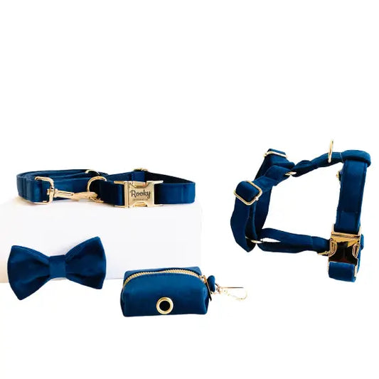 Kit Complet Chien Personnalisé Velours Bleu Marine Transparent Background