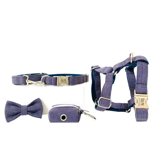 Kit Complet Chien Personnalisé Velours Côtelé Lavande Transparent Background