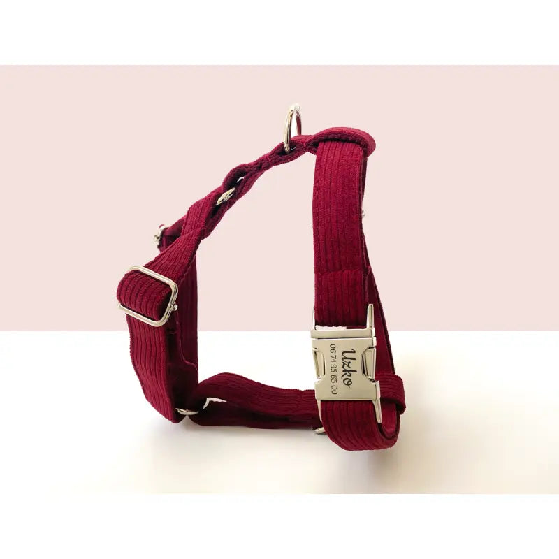 Kit Complet Chien Personnalisé Velours Côtelé Bordeaux