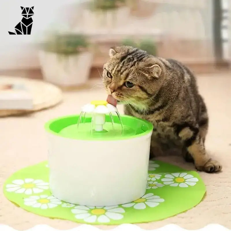 Fontaine à Eau Catdrink™ Avec Filtre à Charbon Pour Le Bien-être De Votre Chat