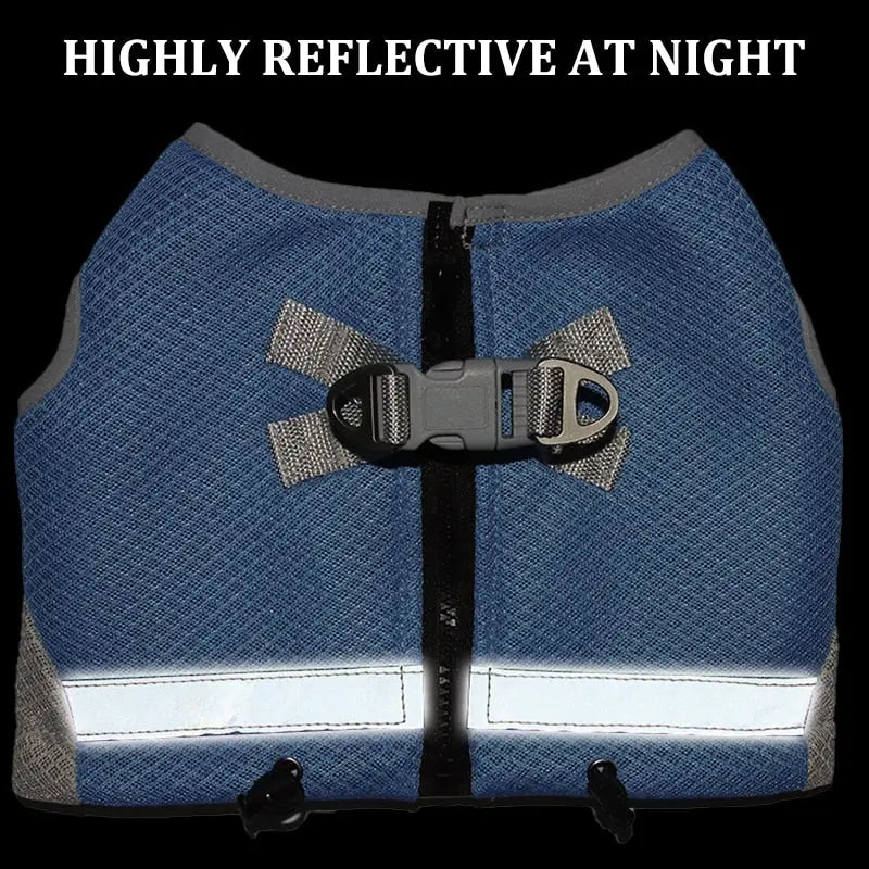 Gilet rafraîchissant Optimal Comfort en bleu : Harnais pour chien avec boucle argentée pour des journées confortables