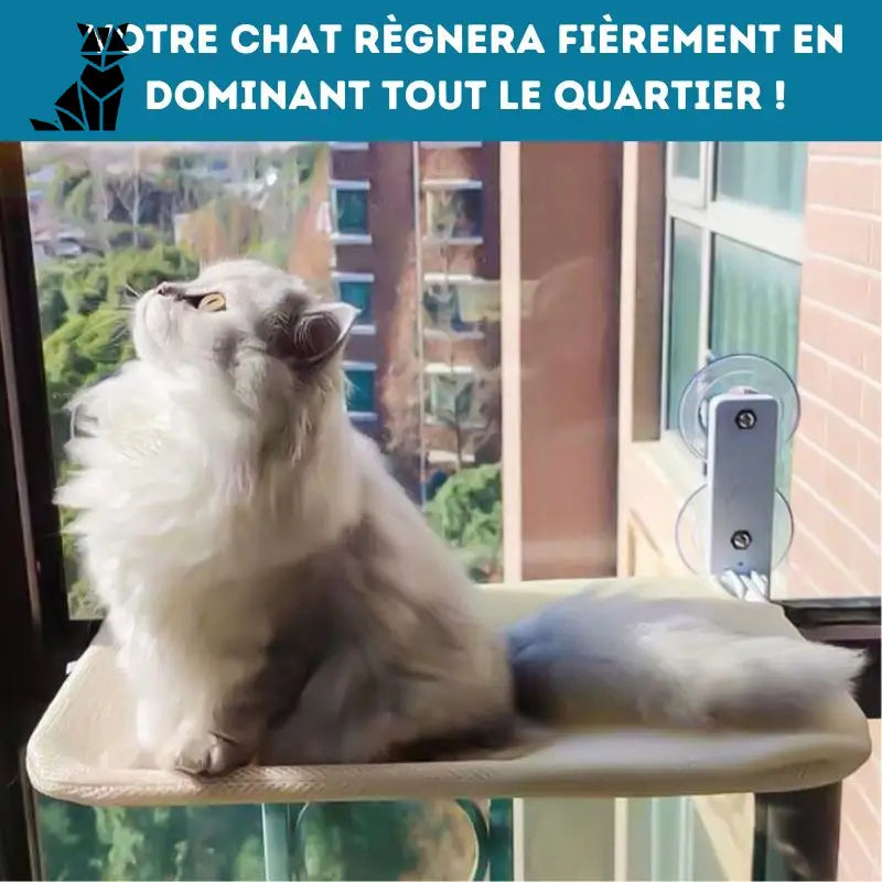 Hamac pour chat | CozyView™