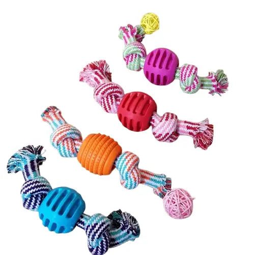 Corde avec balle à mâcher pour chien Transparent Background