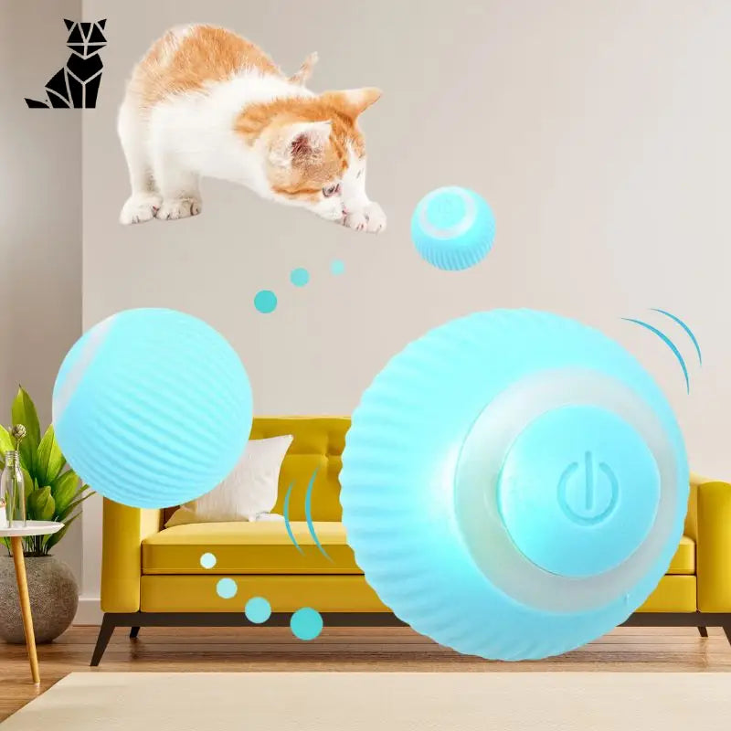 La balle magic pour chat | MagicBall™