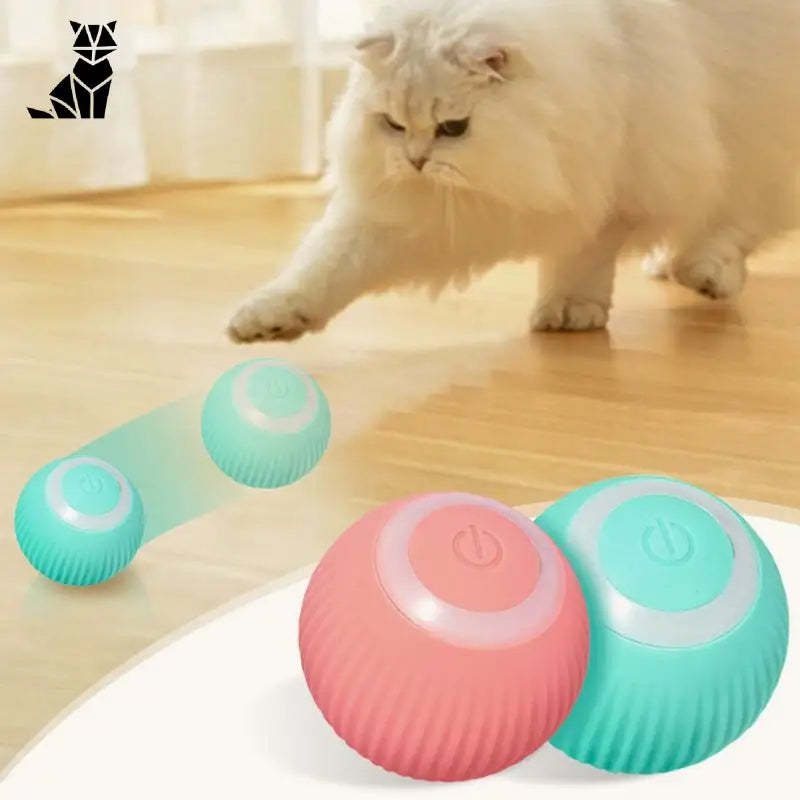 La balle magic pour chat | MagicBall™