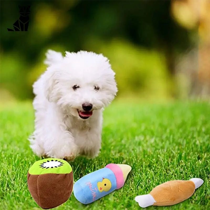 Petit chien blanc courant dans un champ, jouant avec la peluche Squeaky Sunflower Jouet - parfait pour s’amuser !