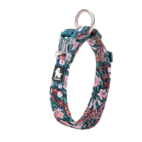 Collier Truelove pour chien à motifs