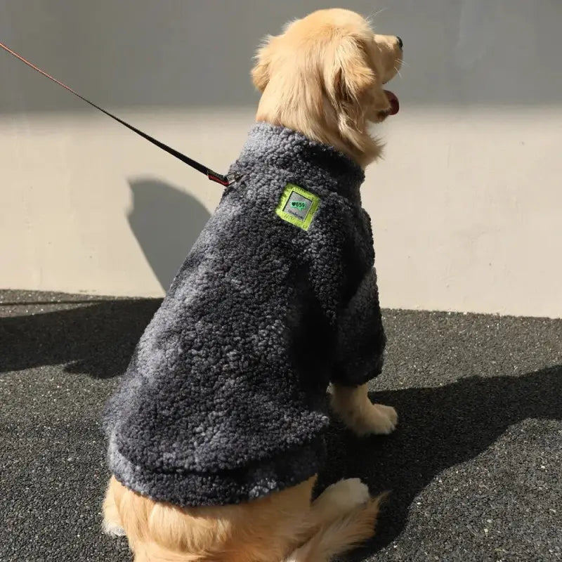 Grand chien en pull noir avec médaille verte | Laine Manteau collection