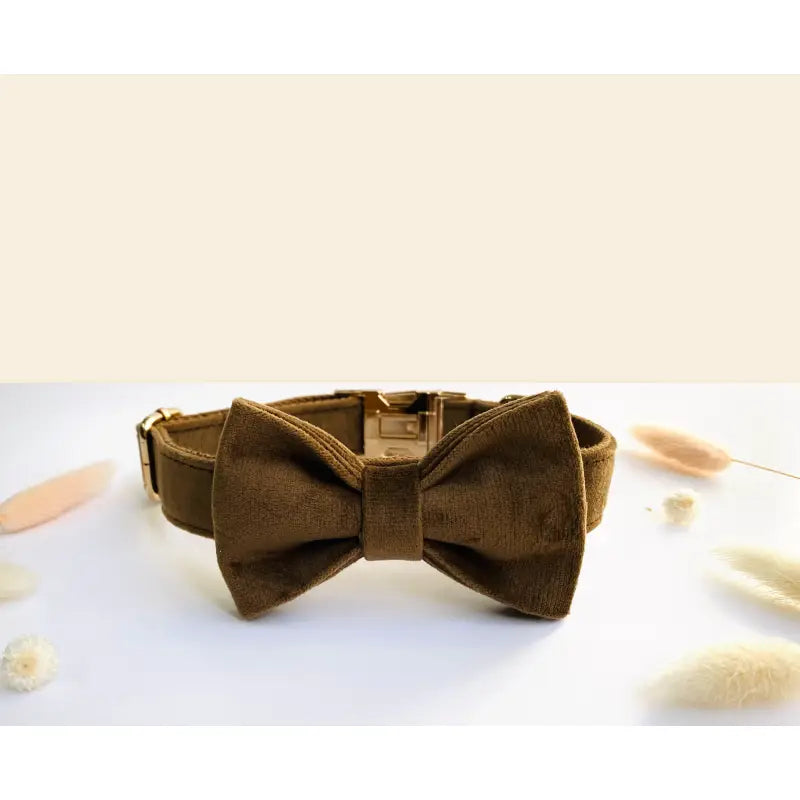 Noeud Papillon Velours Lisse Marron