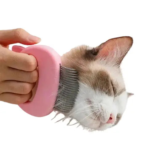 Peigne pour chat | MasseMiaou™ Transparent Background