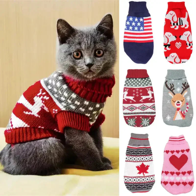 Chat festif vêtu d’un pull et de chaussettes de Noël, illustrant la douceur de l’hiver et les plaisirs de la saison