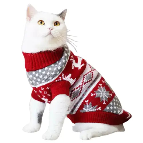 Chat blanc vêtu d’un pull de Noël rouge et festif : Facile à porter pour les fêtes de fin d’année Transparent Background