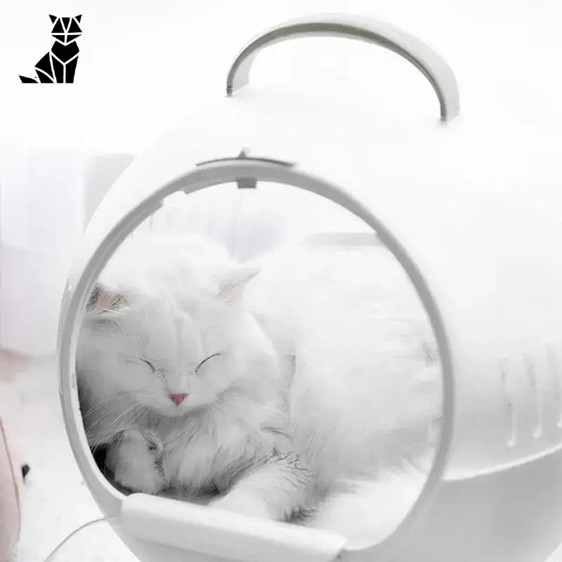 Sac De Transport Pour Un Chat Voyageur Paisible Et Serein - Blanc